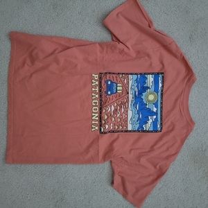 Patagonia Summit Road Organic Men's T-Shirt